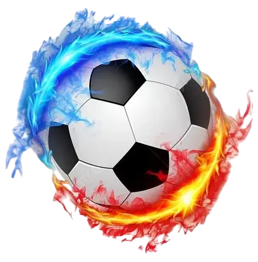 sport-e1741517772287.webp
